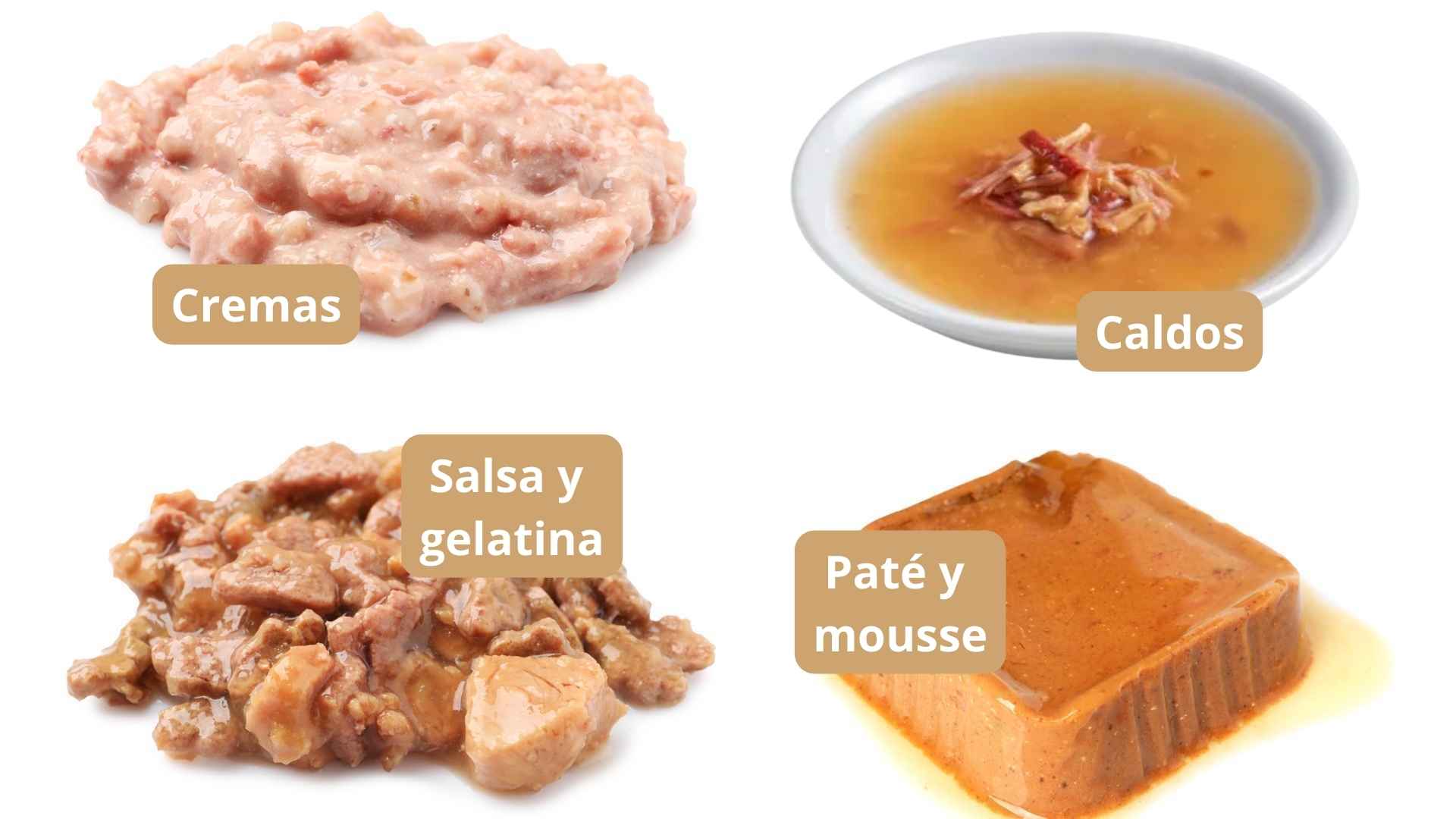 Diferentes formatos de comida humeda para gatos